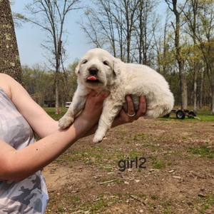 Girl B